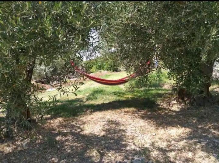 Panorama Olive Garden Apartment Makri Luaran gambar